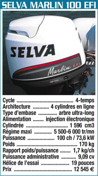 Maxi_03032008-172550moteur-selva-d600