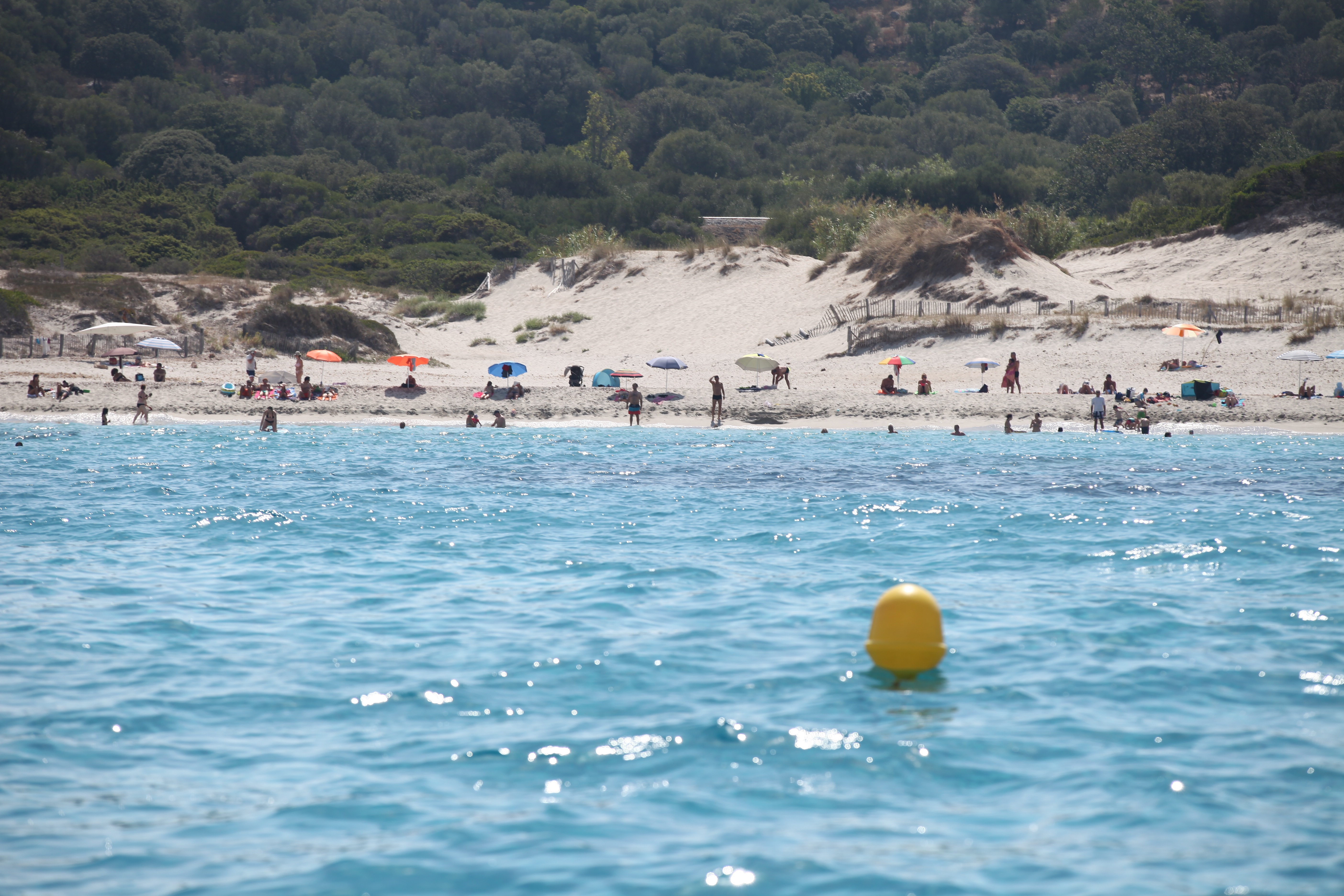 La plage de Bodri avec son cordon dunaire. Elle est située entre Aregno et Ile Rousse.
