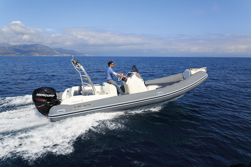 photo Black Fin Elegance 7