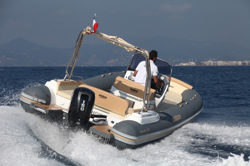 photo Salpa  Soleil 23