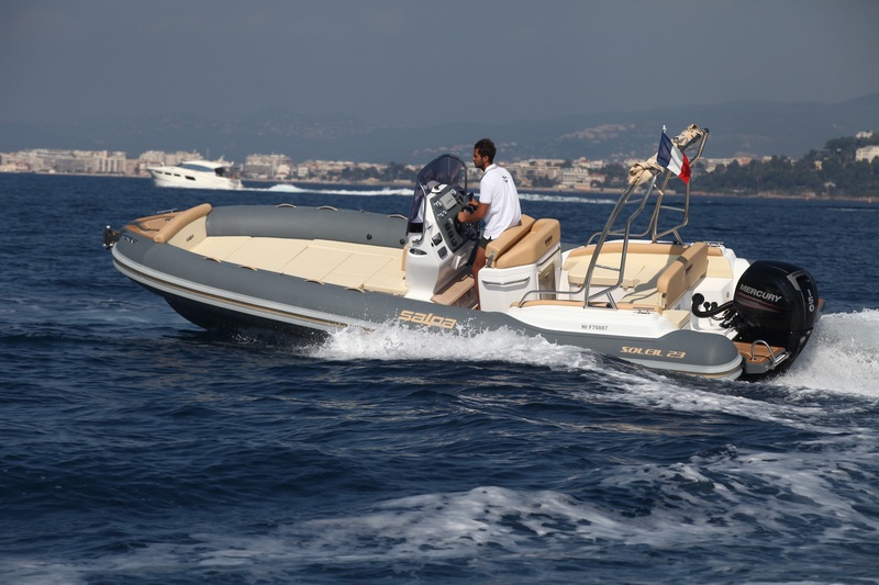 photo Salpa  Soleil 23