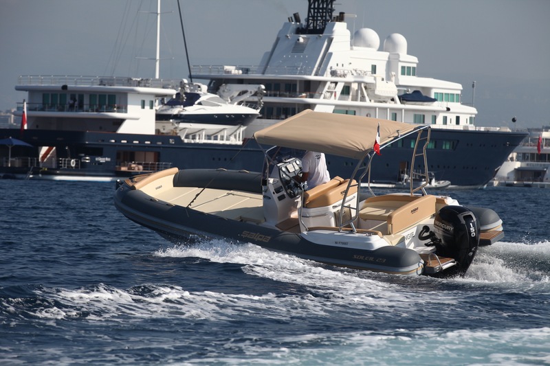 photo Salpa  Soleil 23
