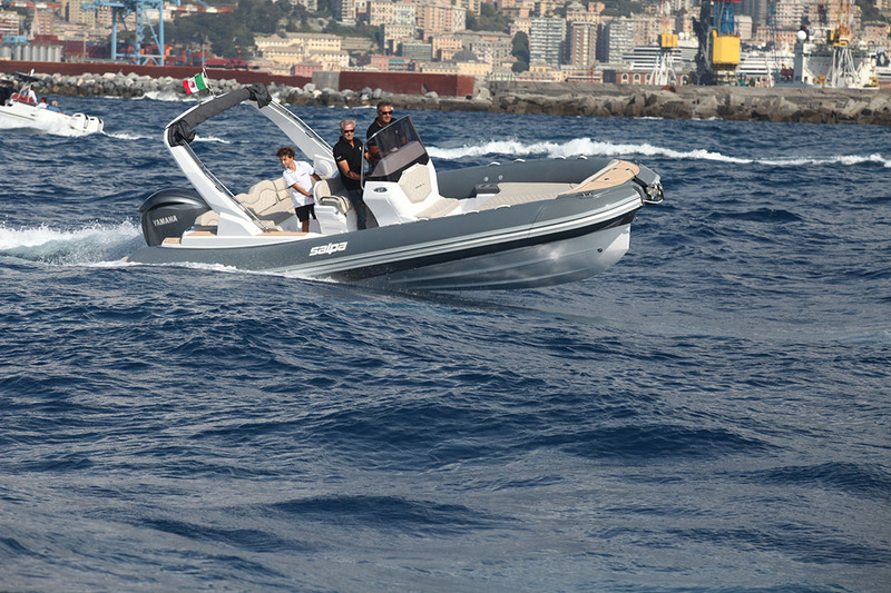 photo Salpa Soleil 26