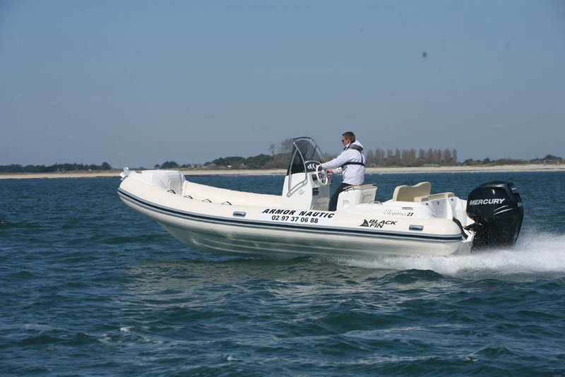 photo Black Fin Elegance 23