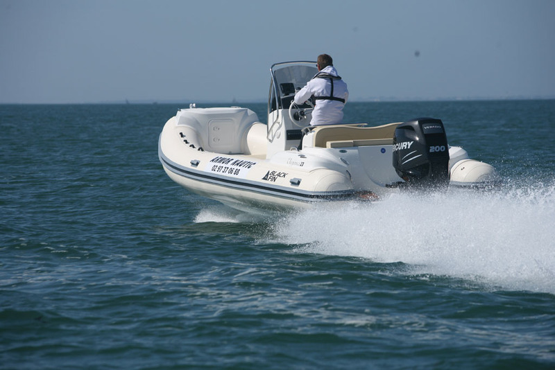 photo Black Fin Elegance 23