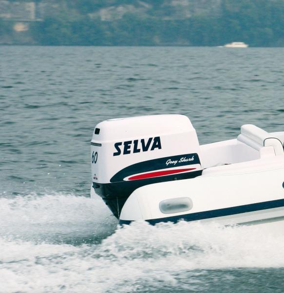 photo Selva D-490 Evolution Line