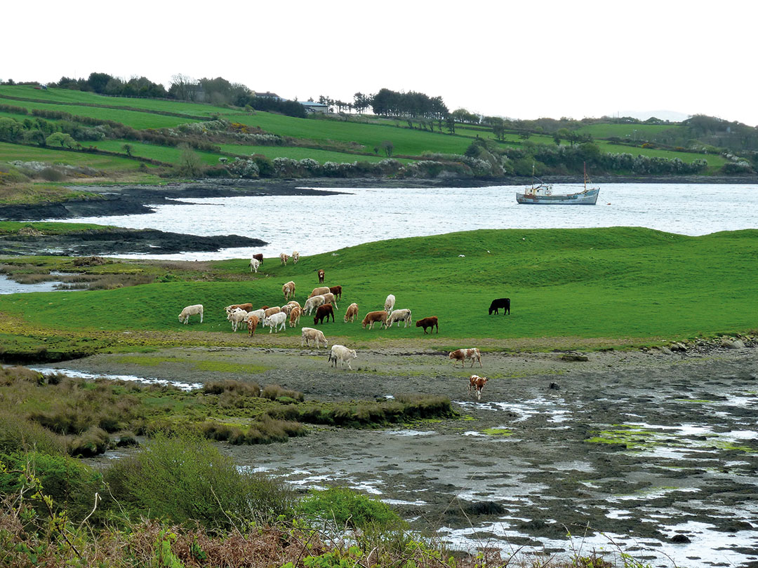 Le_bout_de_la_presqu_ile_d_inishbeg