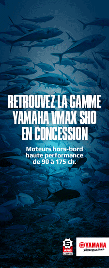 Yammar25-225x550-gamme-vmax_sho-2