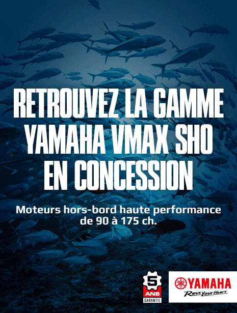 Yammar25-465x615-gamme-vmax_sho-2