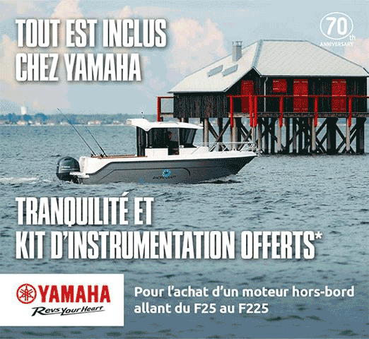 Montage_gif_3b_-525x483