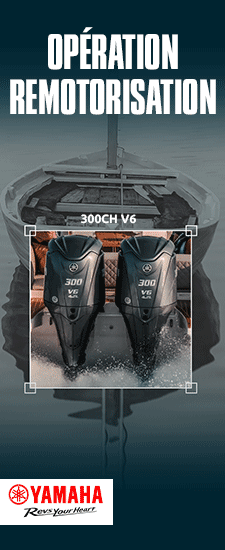 Remotorisation_225x550